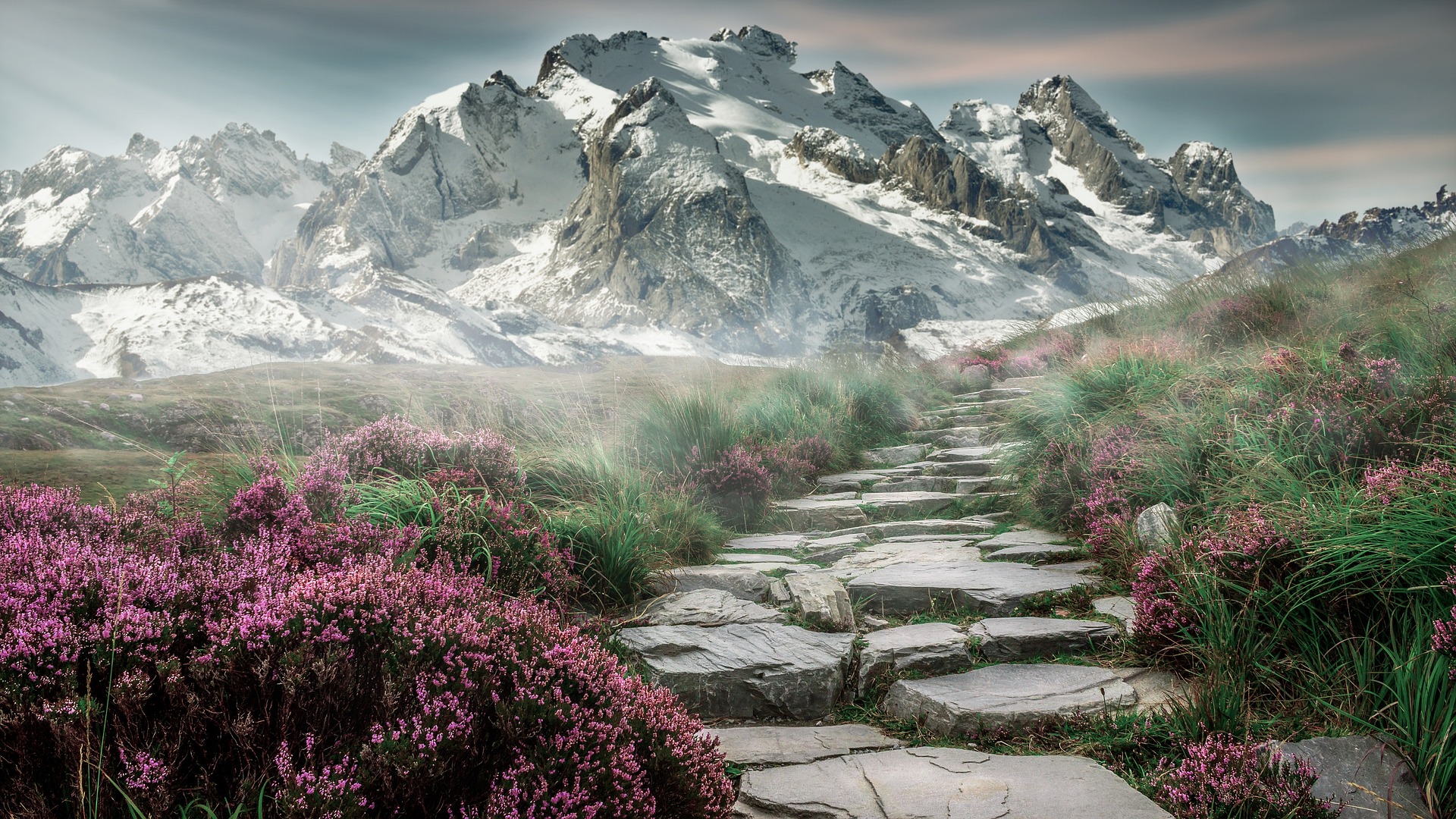 Snowy Hills