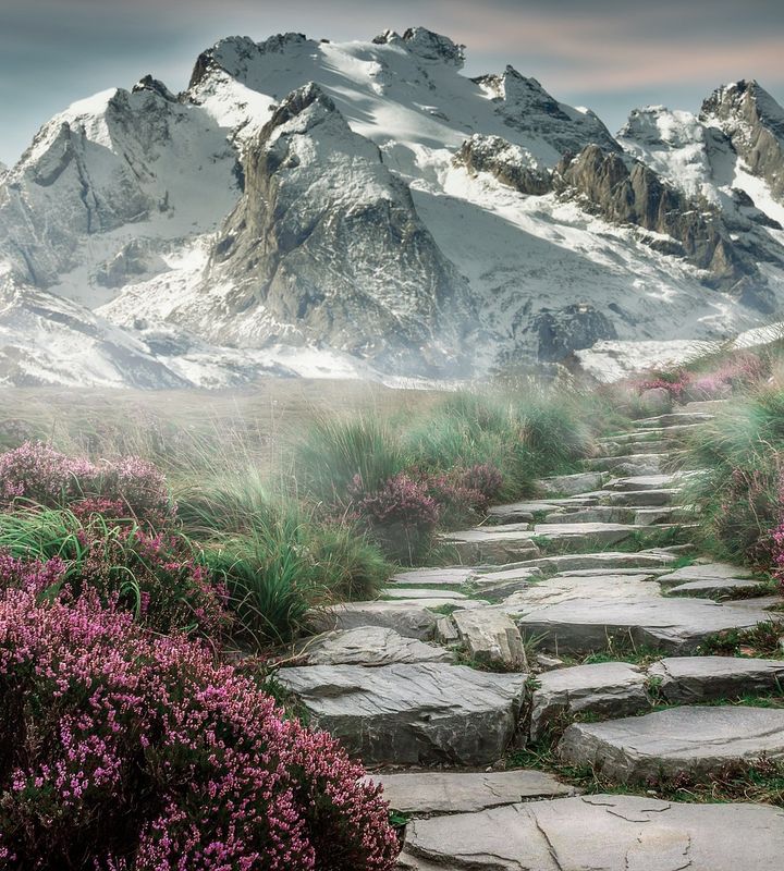 Snowy Hills